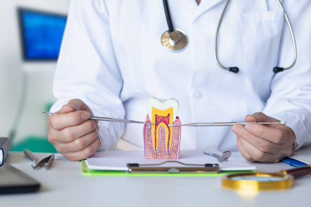 Best Emergency Dental Care for Sports Injuries in Cherokee Village, AR